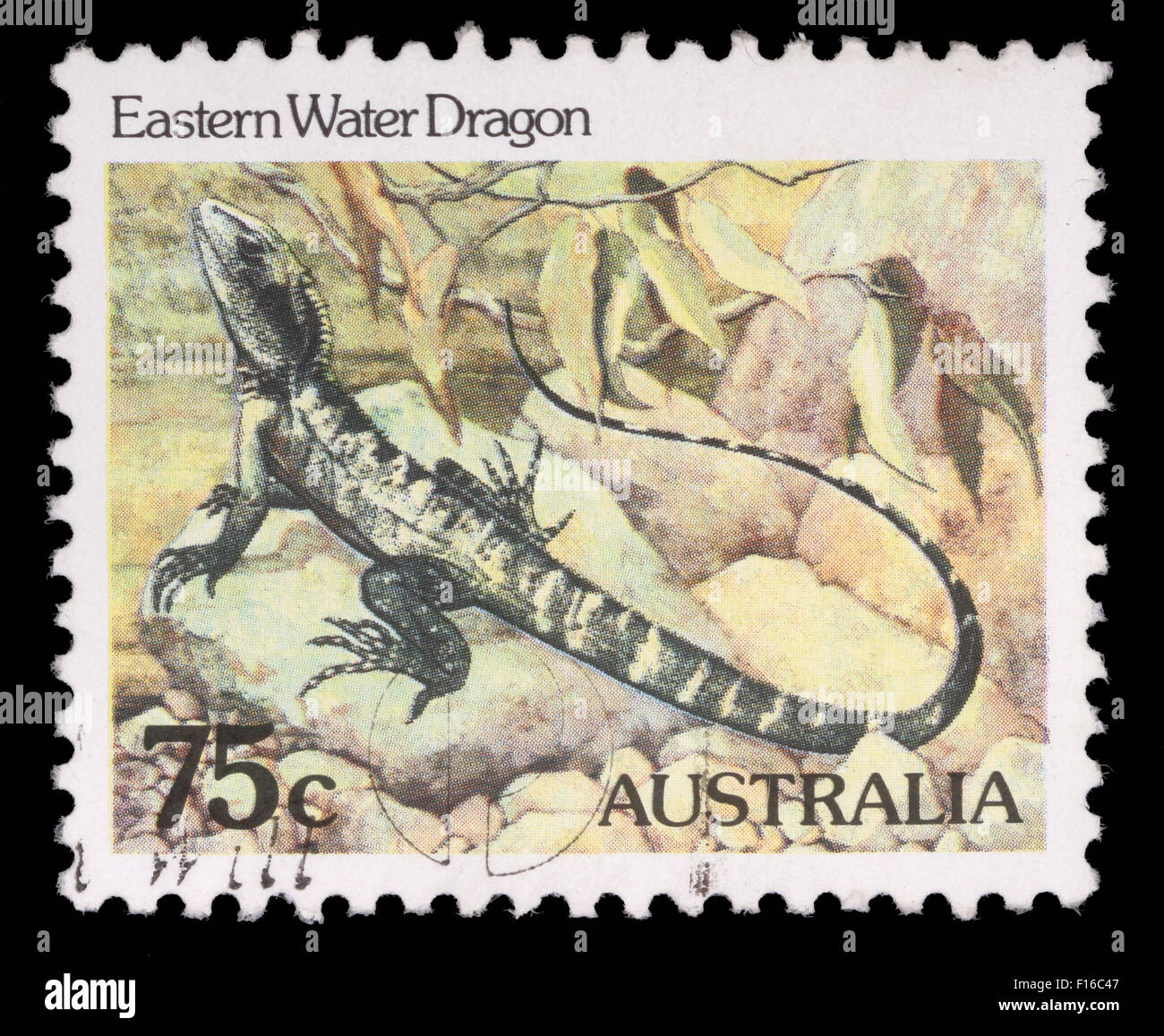 Briefmarke gedruckt in Australien zeigt die Eastern Water Dragon, Serie, ca. 1981 Stockfoto