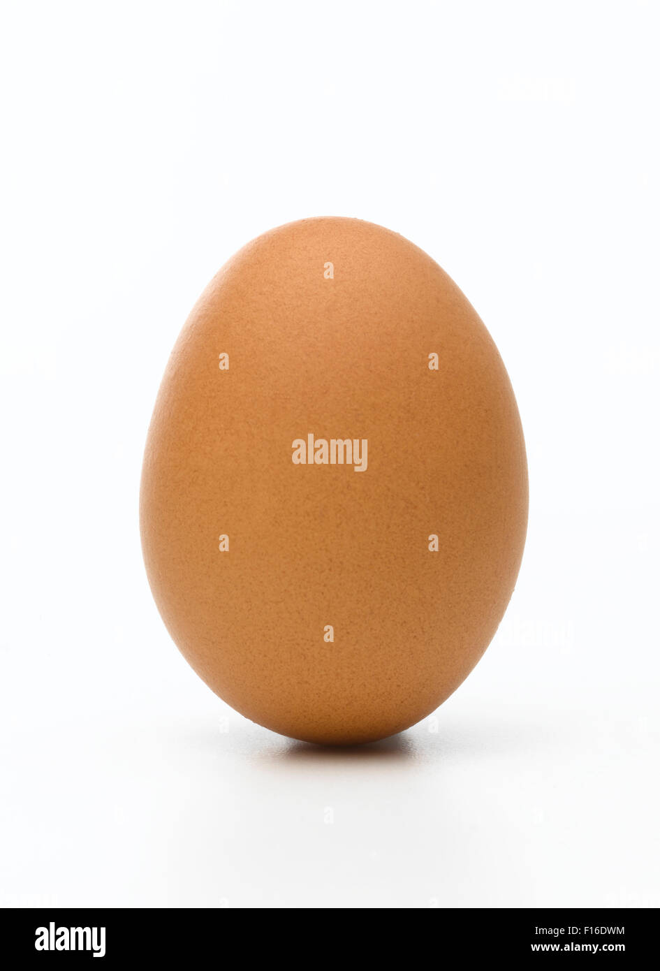 Isolierte einziges Ei Stockfoto