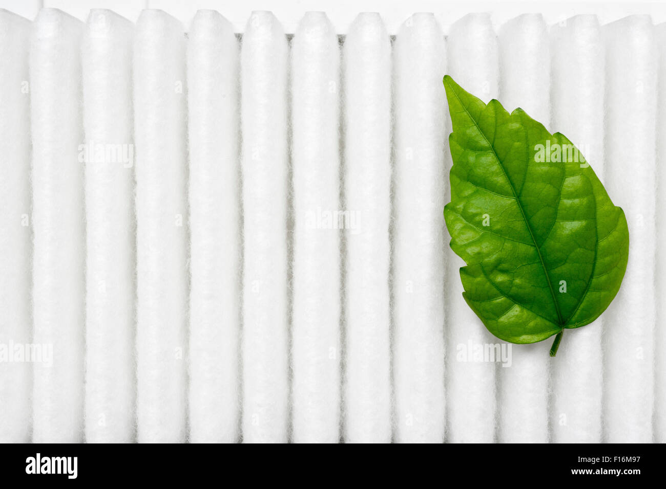 Luft-Reinheit-Konzept mit kleinen frischen grünen Blatt auf weißen Filterfläche Stockfoto