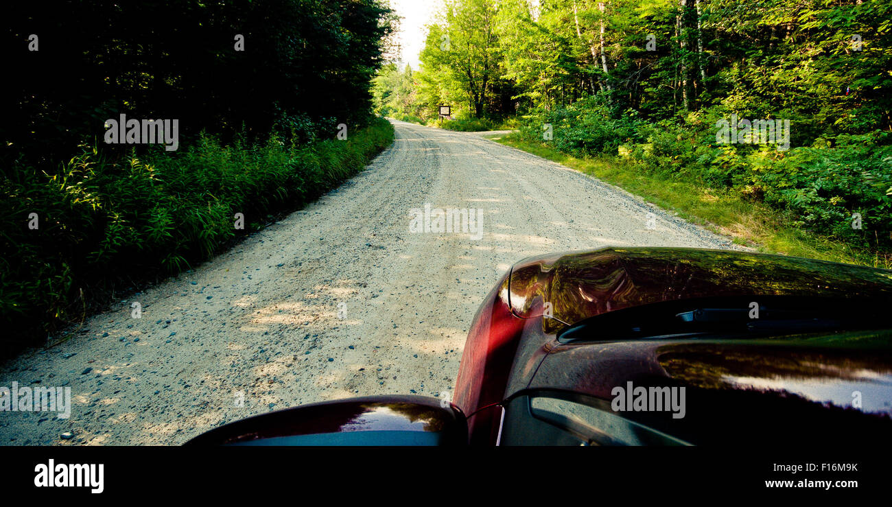 Feldweg in den Wäldern von New Hampshire. Stockfoto