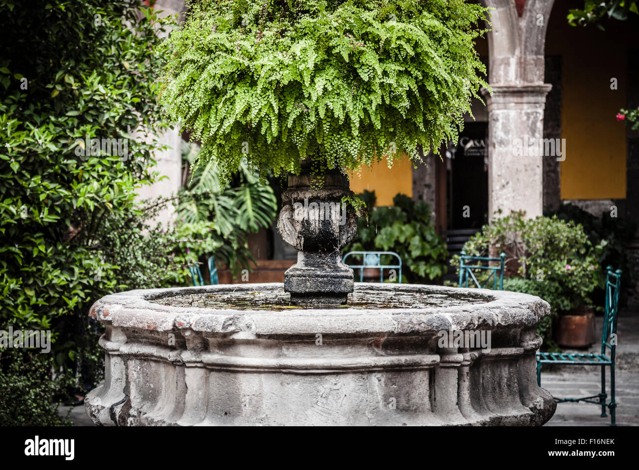 Garten und Brunnen Stockfoto