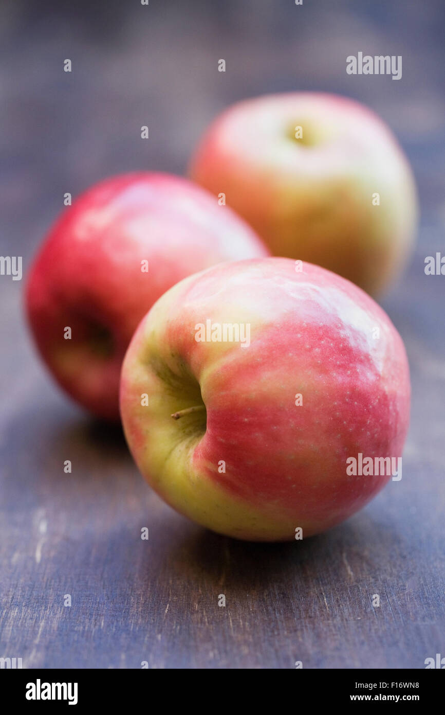 Malus Gesinde. Drei Äpfel auf einem Holztisch. Stockfoto