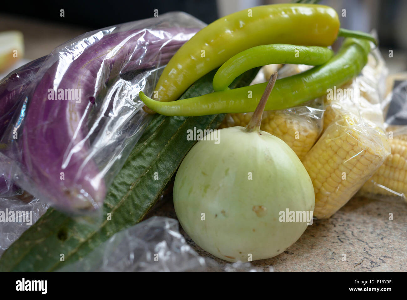 Überschüssige Lebensmittel von Deponien zu retten. Kostenlose Mahlzeiten, die von Freiwilligen für die örtliche Gemeinschaft. Stockfoto