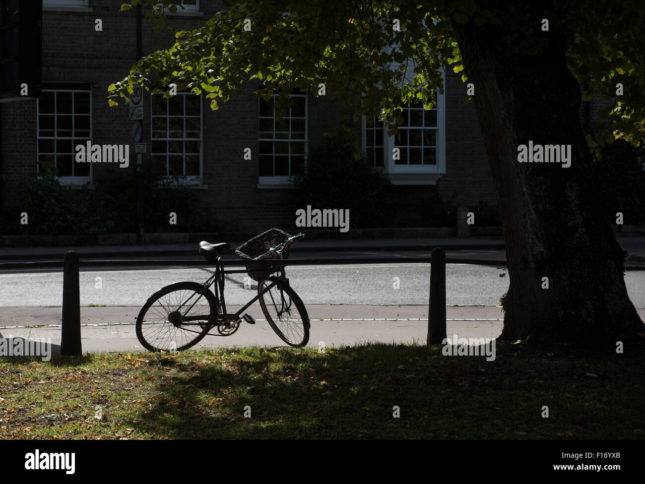 Cambridge, Cambridgeshire, England, UK. 28. August 2015 Fahrrad unter einem Baum in der Universitätsstadt Cambridge in England. Stockfoto
