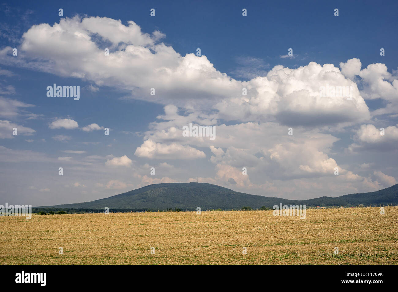 Weißen Cumulus-Wolken am blauen Himmel über Stoppeln niedriger Schlesien Polen Stockfoto