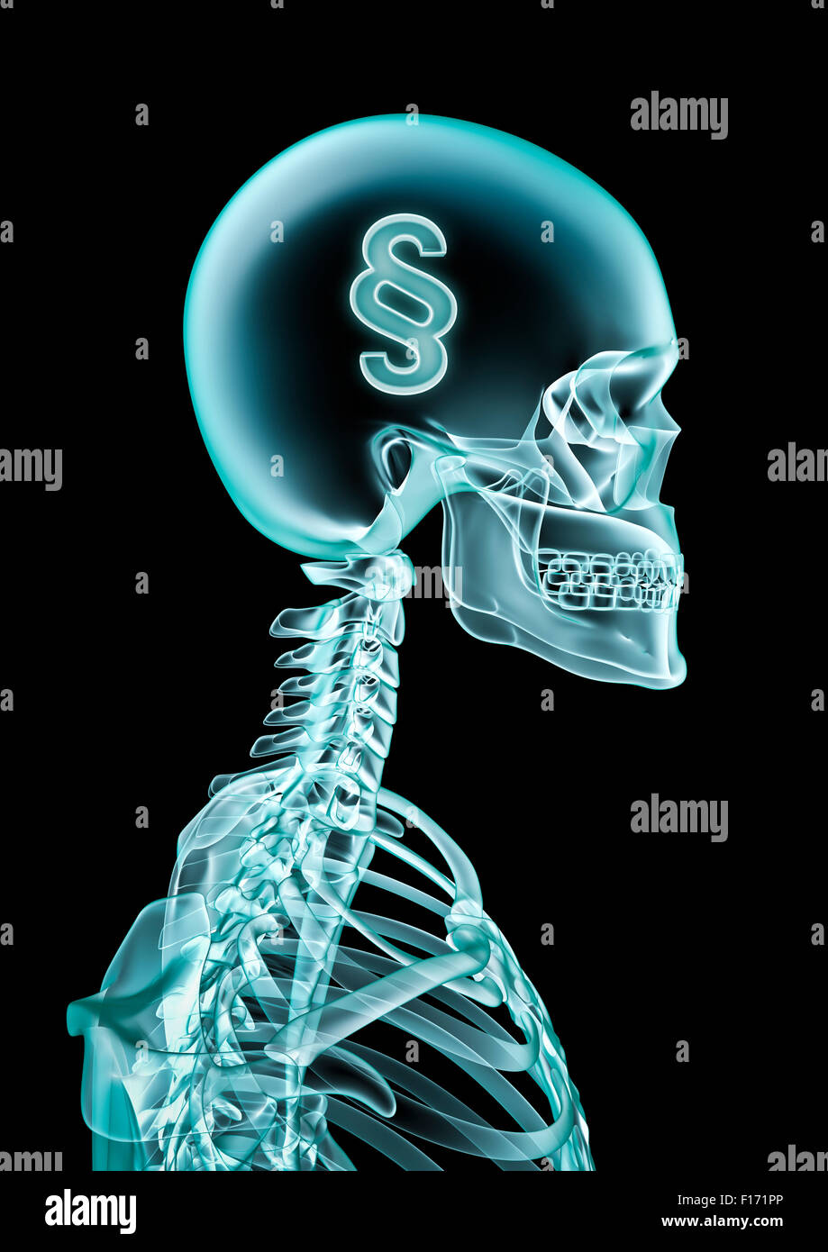 X-ray Gesetz / 3D Rendering des x-ray Abschnitt Anzeichen in Kopf Stockfoto