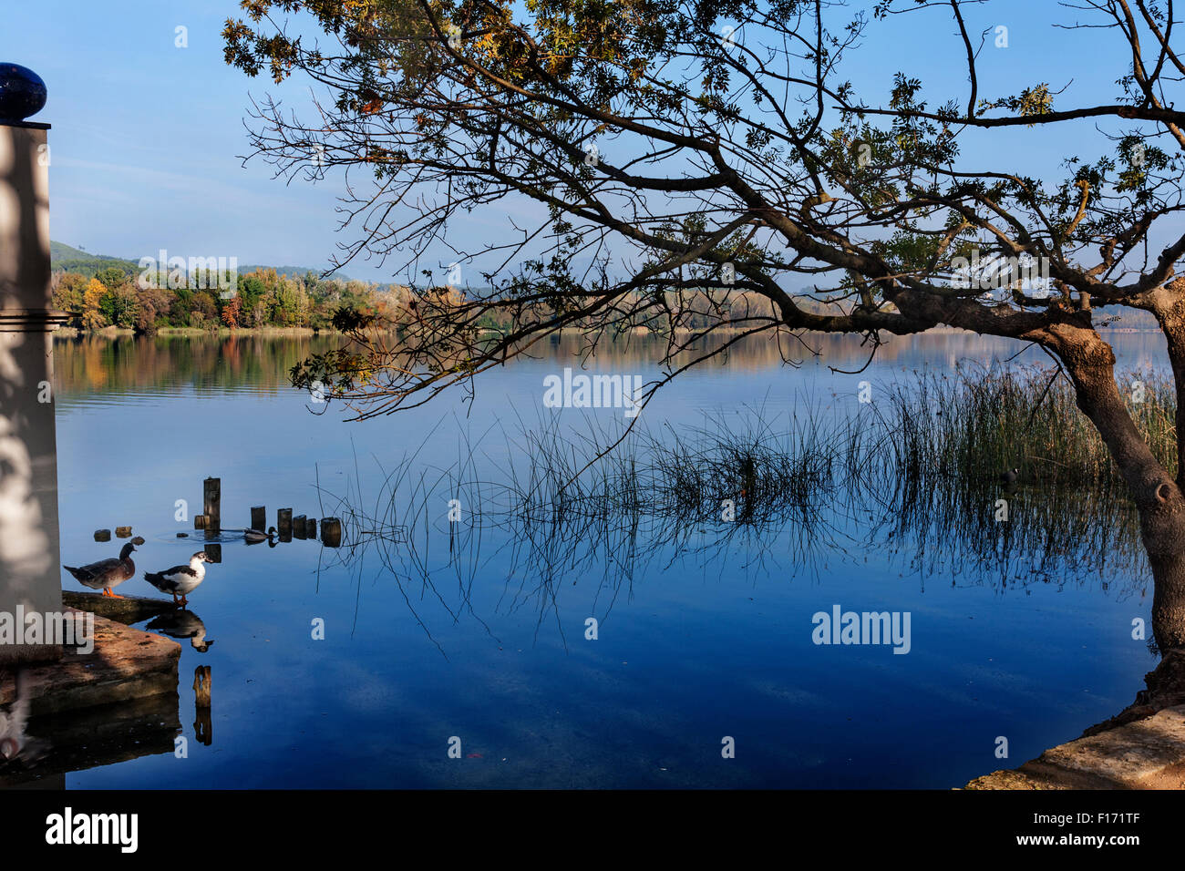 Banyoles Teich. Stockfoto