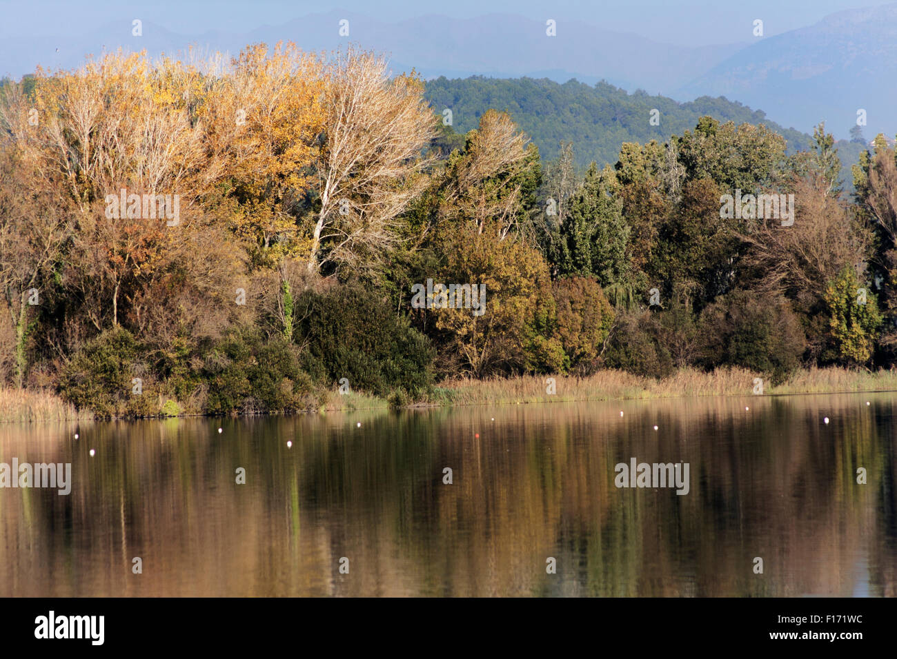 Banyoles Teich. Stockfoto