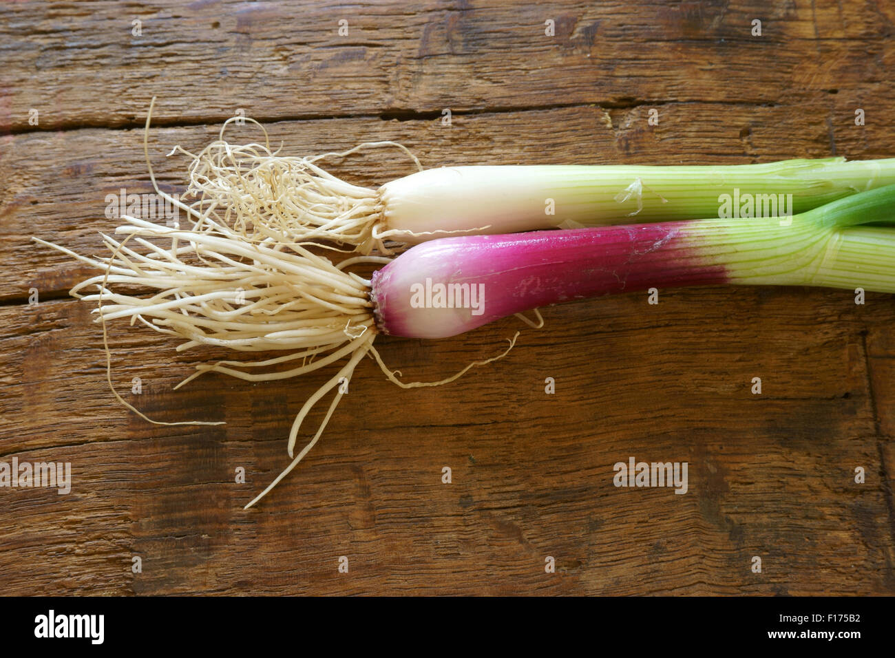 Rote Lauchzwiebel auf rustikalen Holztisch Stockfoto
