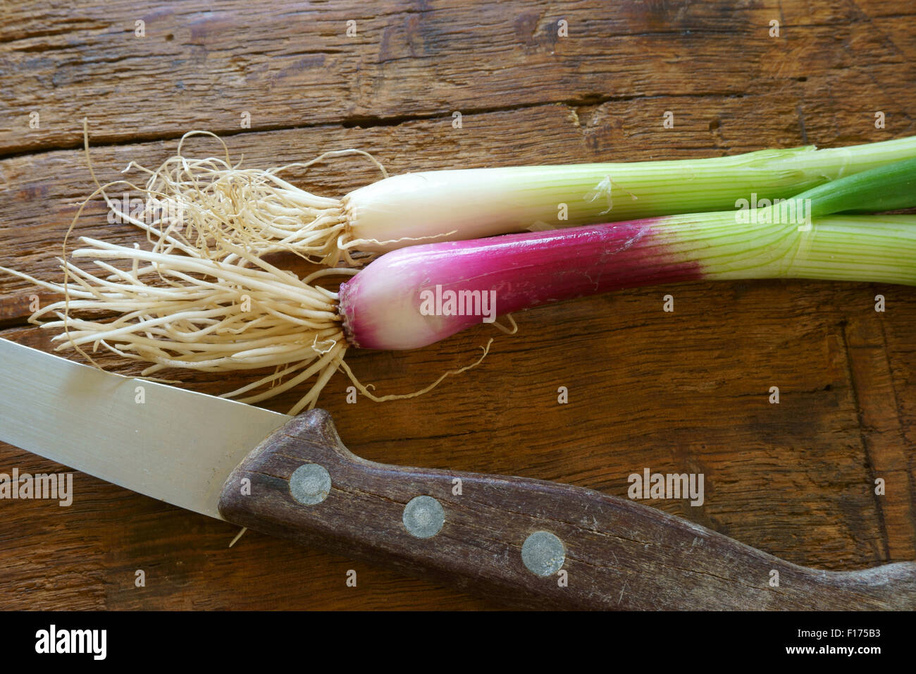 Frische rote Frühlingszwiebeln und einem Küchenmesser auf rustikalem Holzbrett Stockfoto