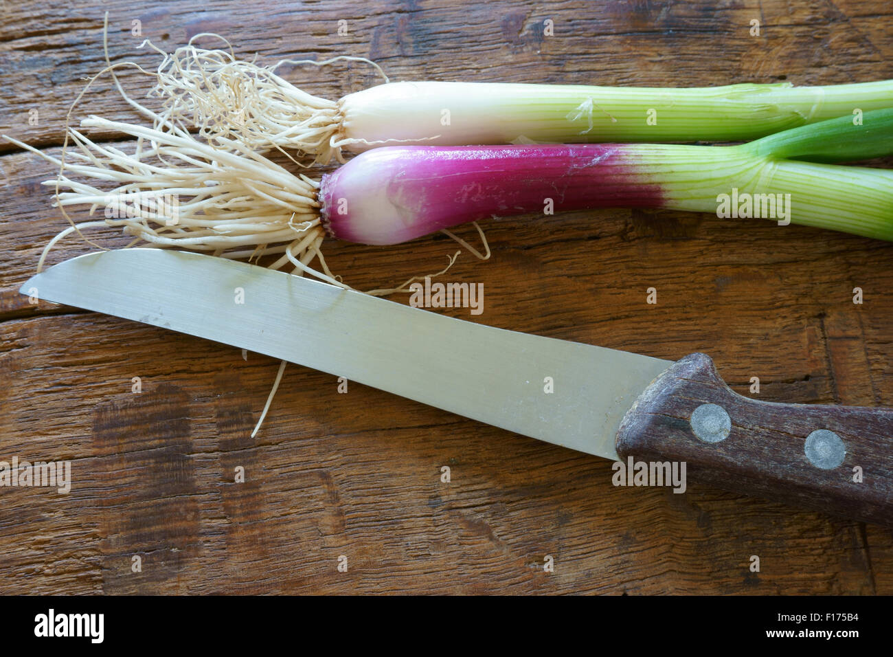 Frische rote Frühlingszwiebeln und einem Küchenmesser auf rustikalem Holzbrett Stockfoto