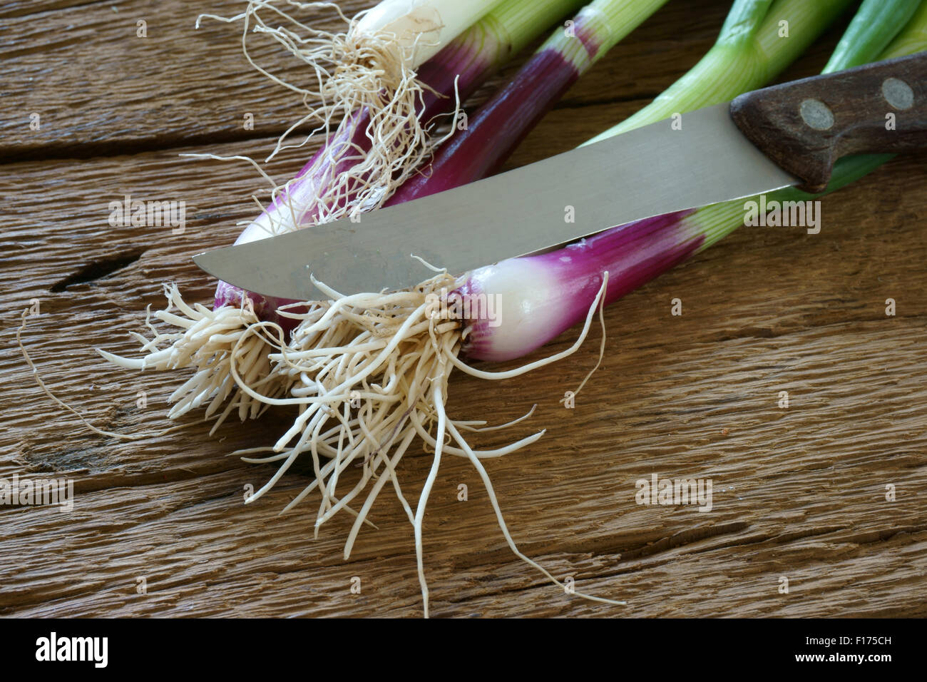 Frische grüne Frühlingszwiebeln mit einem Küchenmesser auf einem alten rustikalen Holzbrett Stockfoto