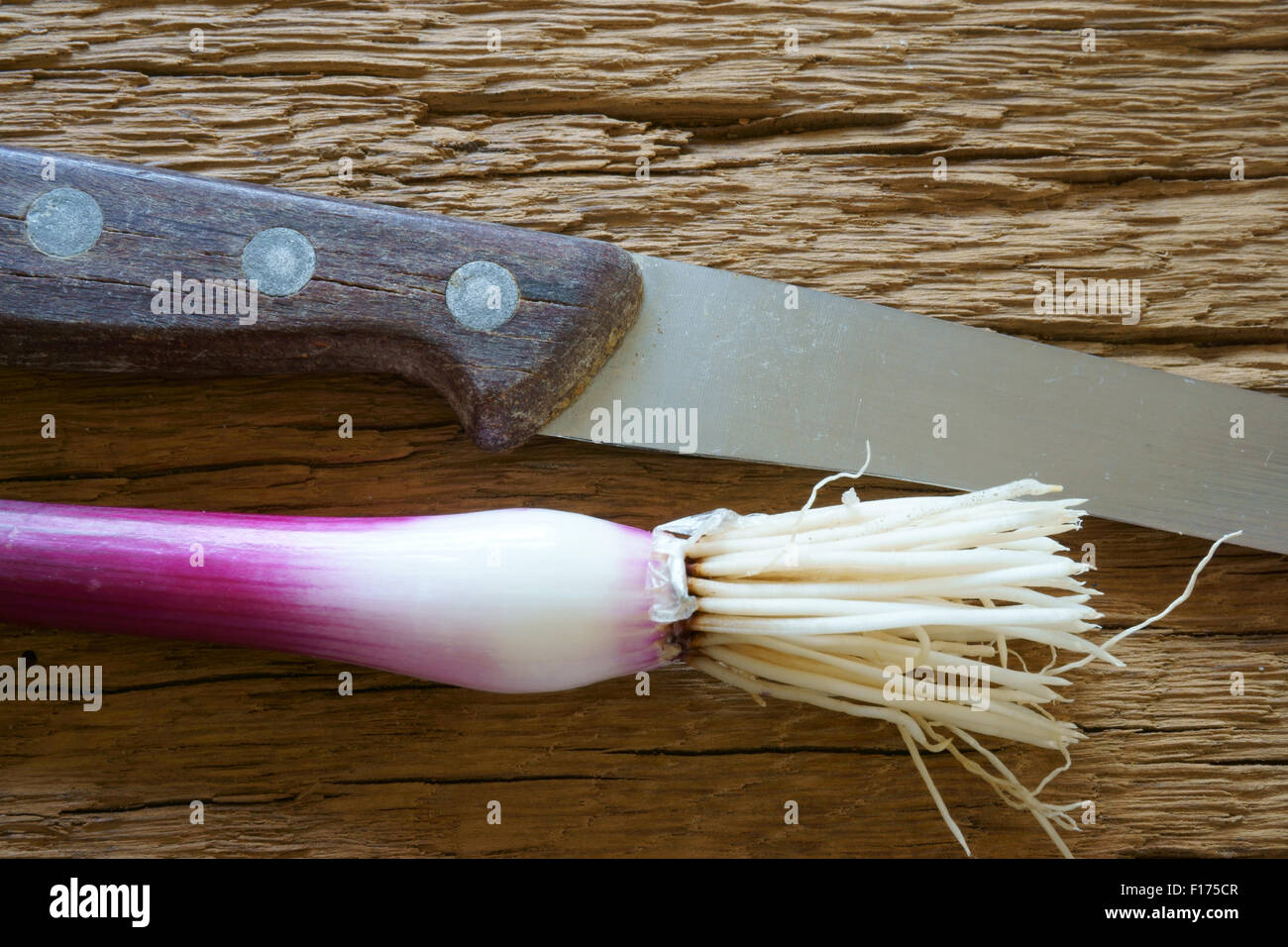 Eine ganze rote Frühlingszwiebeln und einem Küchenmesser auf einem rustikalen Holzbrett Stockfoto