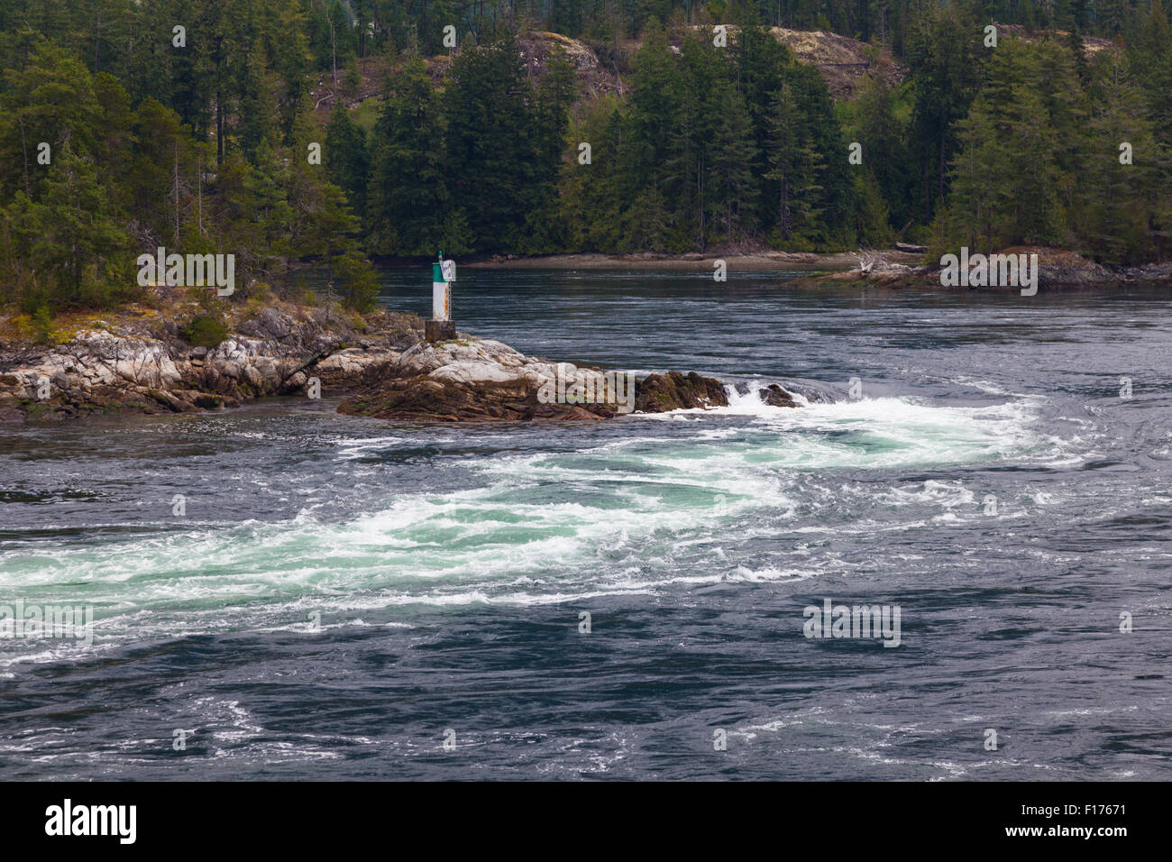 Ebbe am Skookumchuck Narrows an der Sunshine Coast in British Columbia Stockfoto
