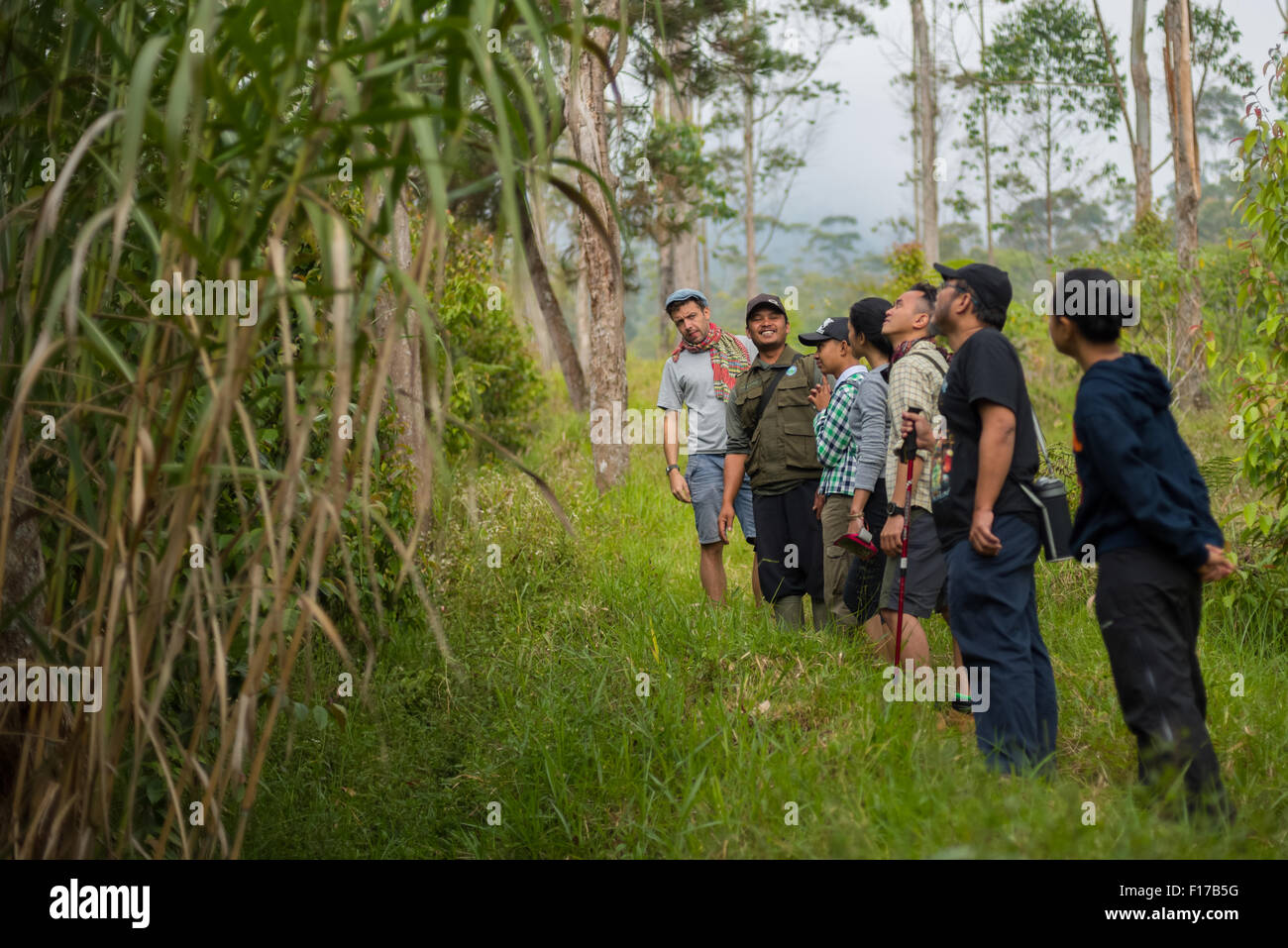 Die Besucher erhalten Erläuterungen zu Baumarten und Wiederaufforstung in einem Wiederaufforstungsgebiet im Mount Gede Pangrango National Park, West Java, Indonesien. Stockfoto