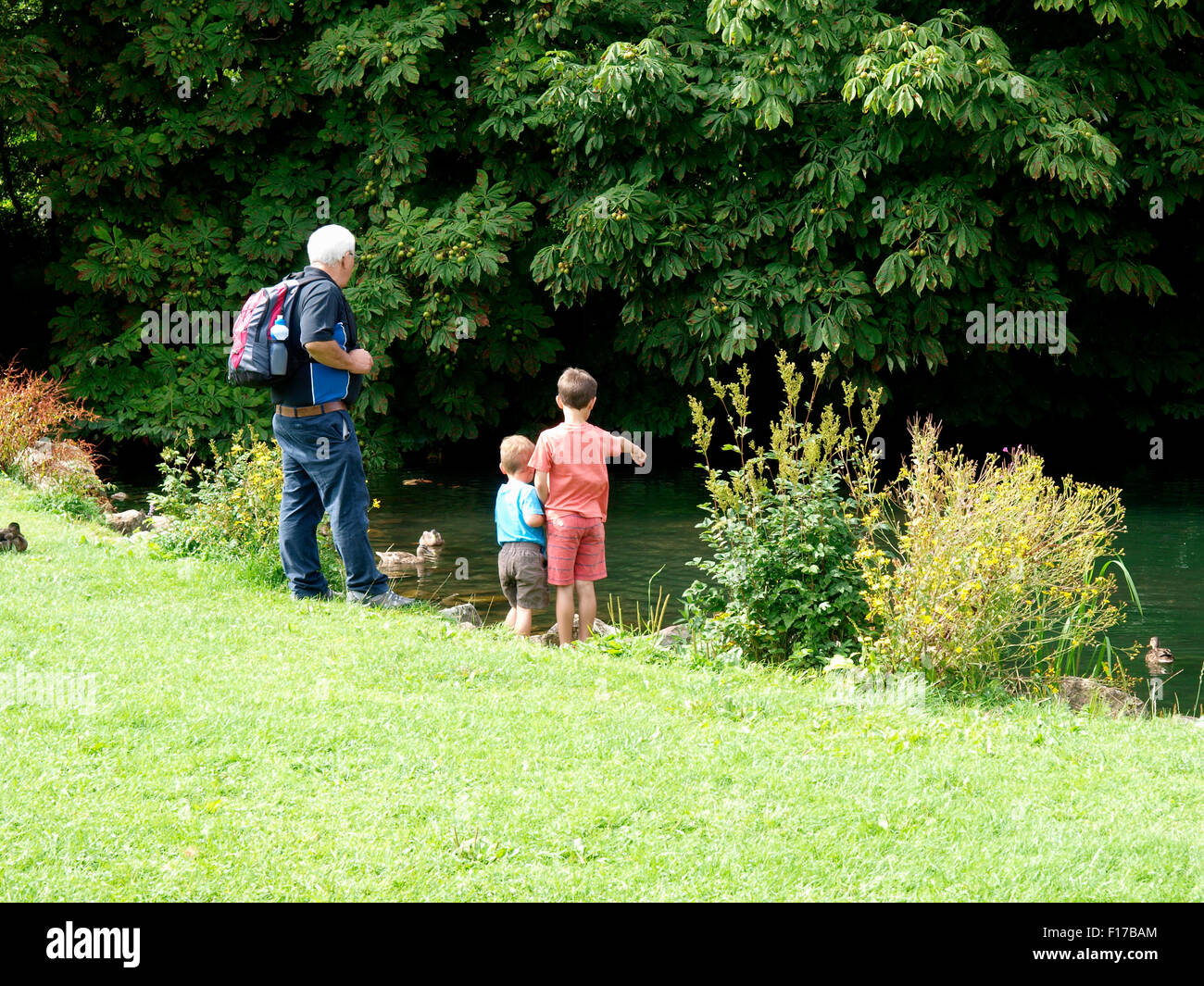 Zwei junge Burschen mit ihrem Opa beobachten Enten, Marlborough, Wiltshire, UK Stockfoto
