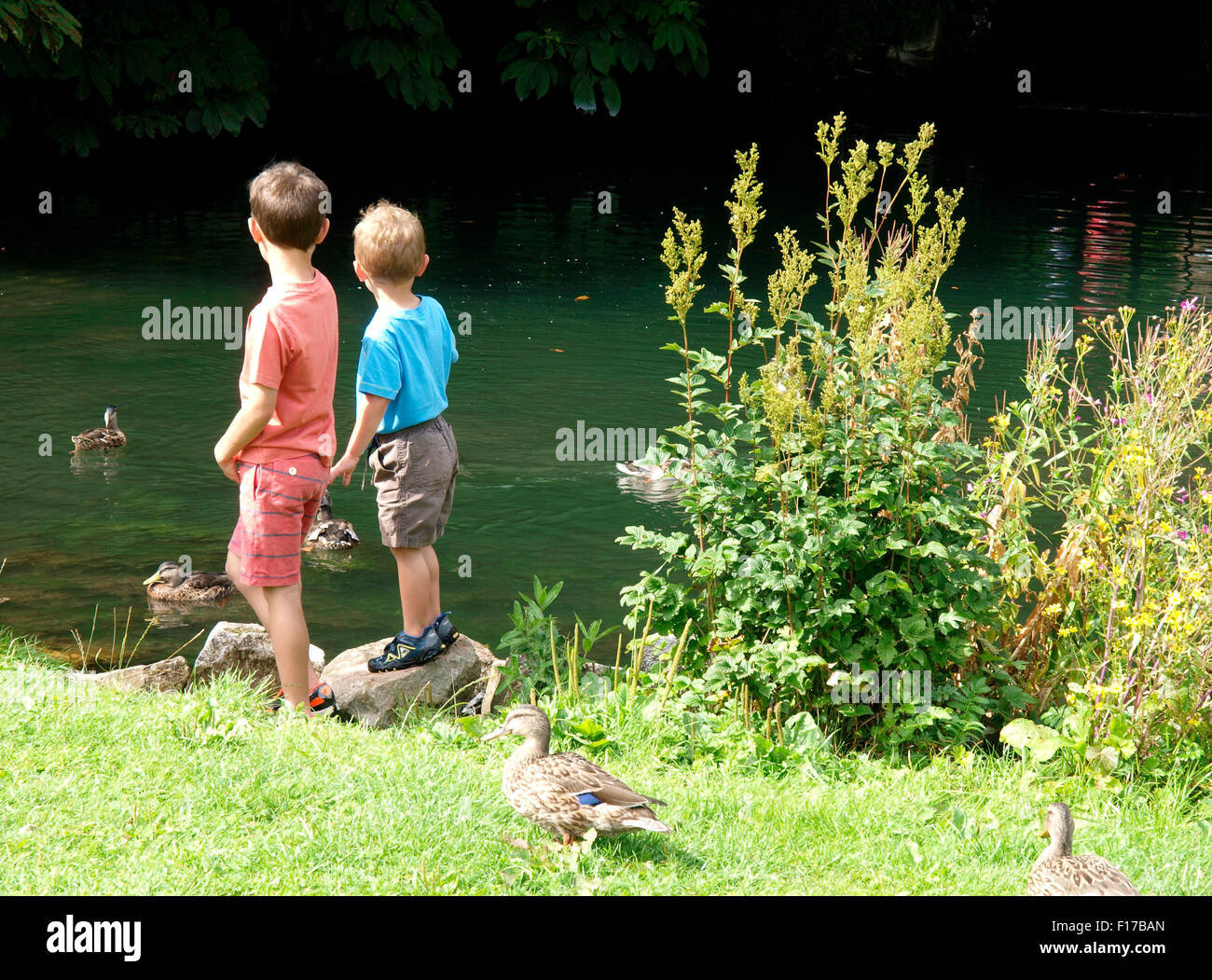 Zwei Jungen beobachten die Enten am Fluss, Marlborough, Wiltshire, UK Stockfoto