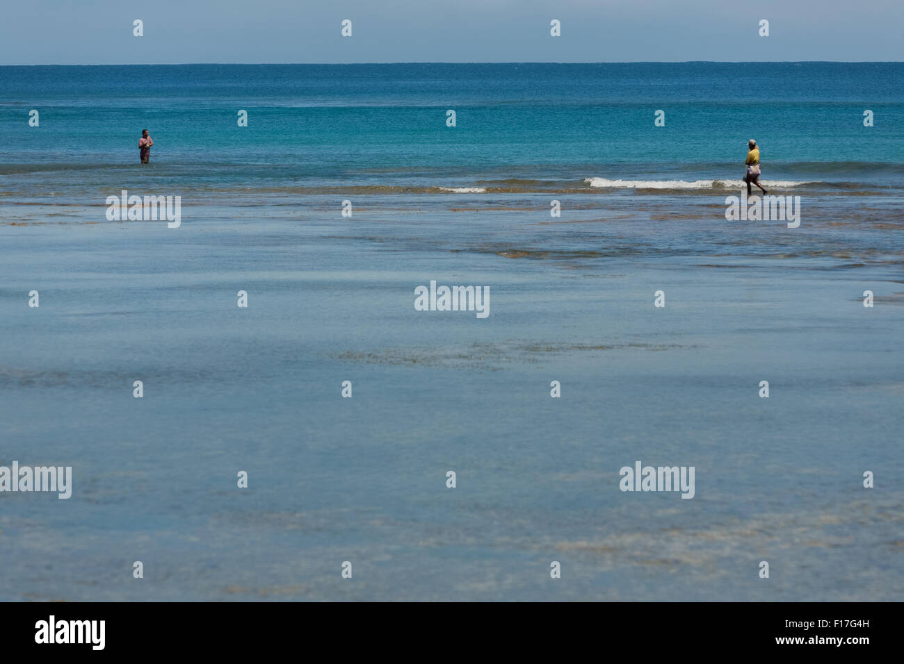 Fischer, die am flachen Meerwasser am Strand von Tanjung Setia in Krui, Lampung, Indonesien arbeiten. Stockfoto