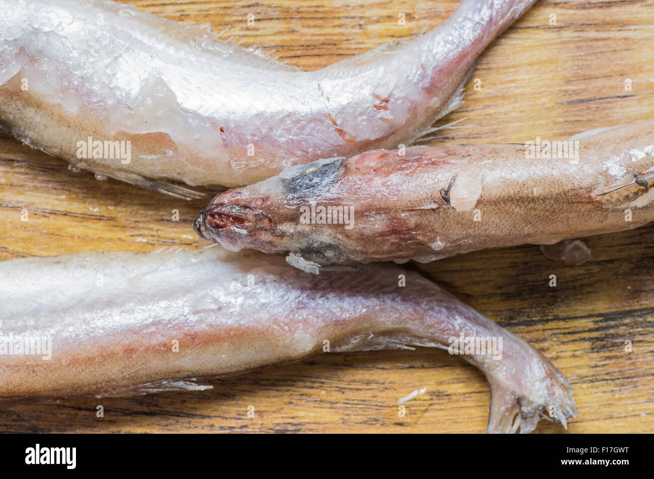 Gefrorener Fischschwänzen und den Kopf Draufsicht Stockfoto