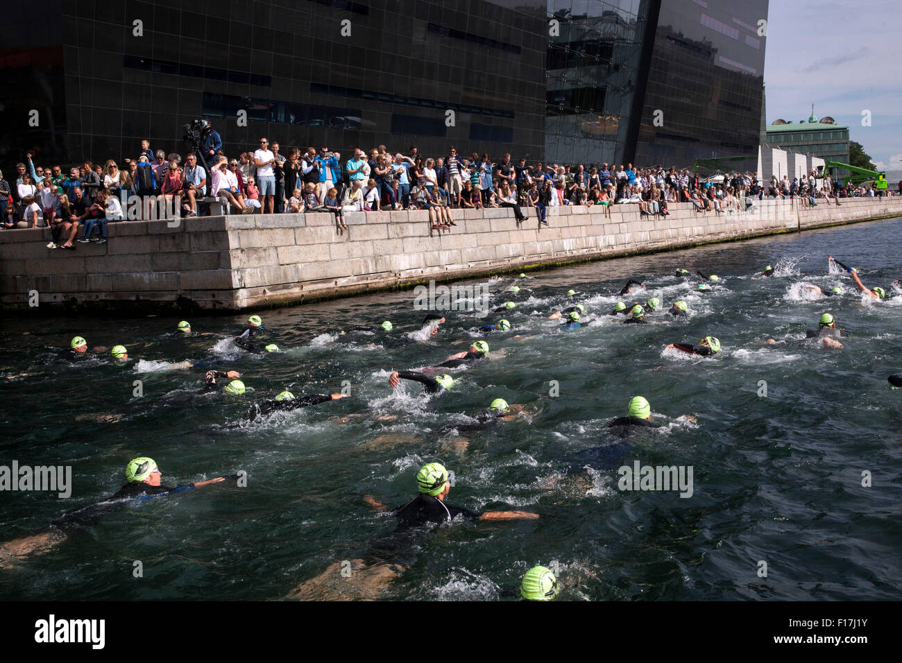 Kopenhagen, Dänemark, 29. August 2015. Gruppe der Schwimmer in der "Runde Christiansborg" 2 km Spaß Schwimmen im Wasser ist. Im Hintergrund "The Black Diamond" wo Zuschauer beobachten das Schwimmen und Familienmitgliedern oder Freunden ihrer Schwimmer anfeuern. Bildnachweis: OJPHOTOS/Alamy Live-Nachrichten Stockfoto