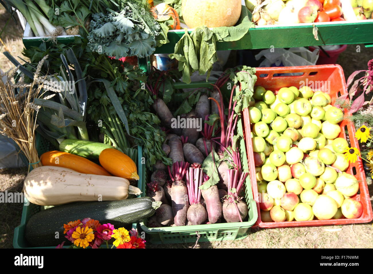 Tczew, Polen 29. August 2015 der polnische Premierminister Ewa Kopacz besucht Tczew um das jährliche Fest der polnischen Allotment Garden Association teilzunehmen. Kopacz sprach während des Festes, und traf sich mit Vereinsmitgliedern. Obst und Gemüse während des Festes Guthaben angezeigt: Michal Fludra/Alamy Live News Stockfoto