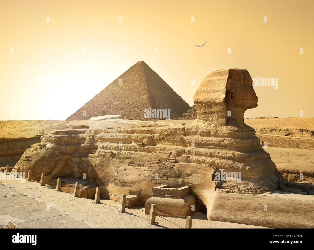 Vogel über Sphinx und Pyramide in der ägyptischen Wüste Stockfoto