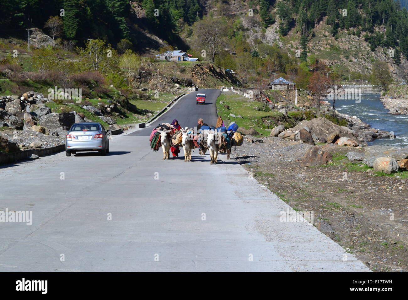 Nomaden bewegen Nord für den Sommer Stockfoto