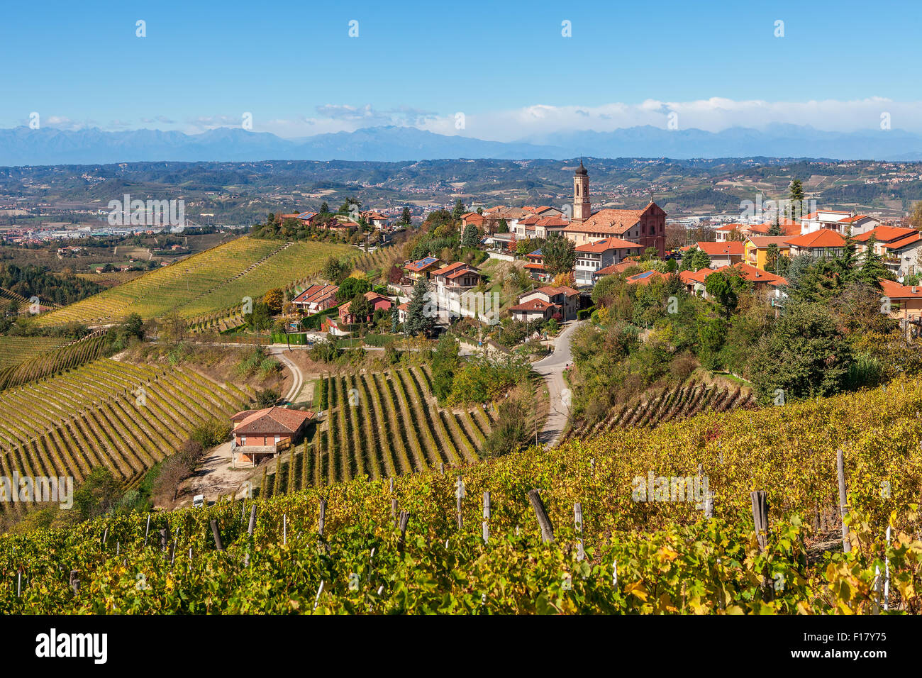 Herbstliche Weinberge und kleine Stadt von Treiso im Piemont, Norditalien. Stockfoto