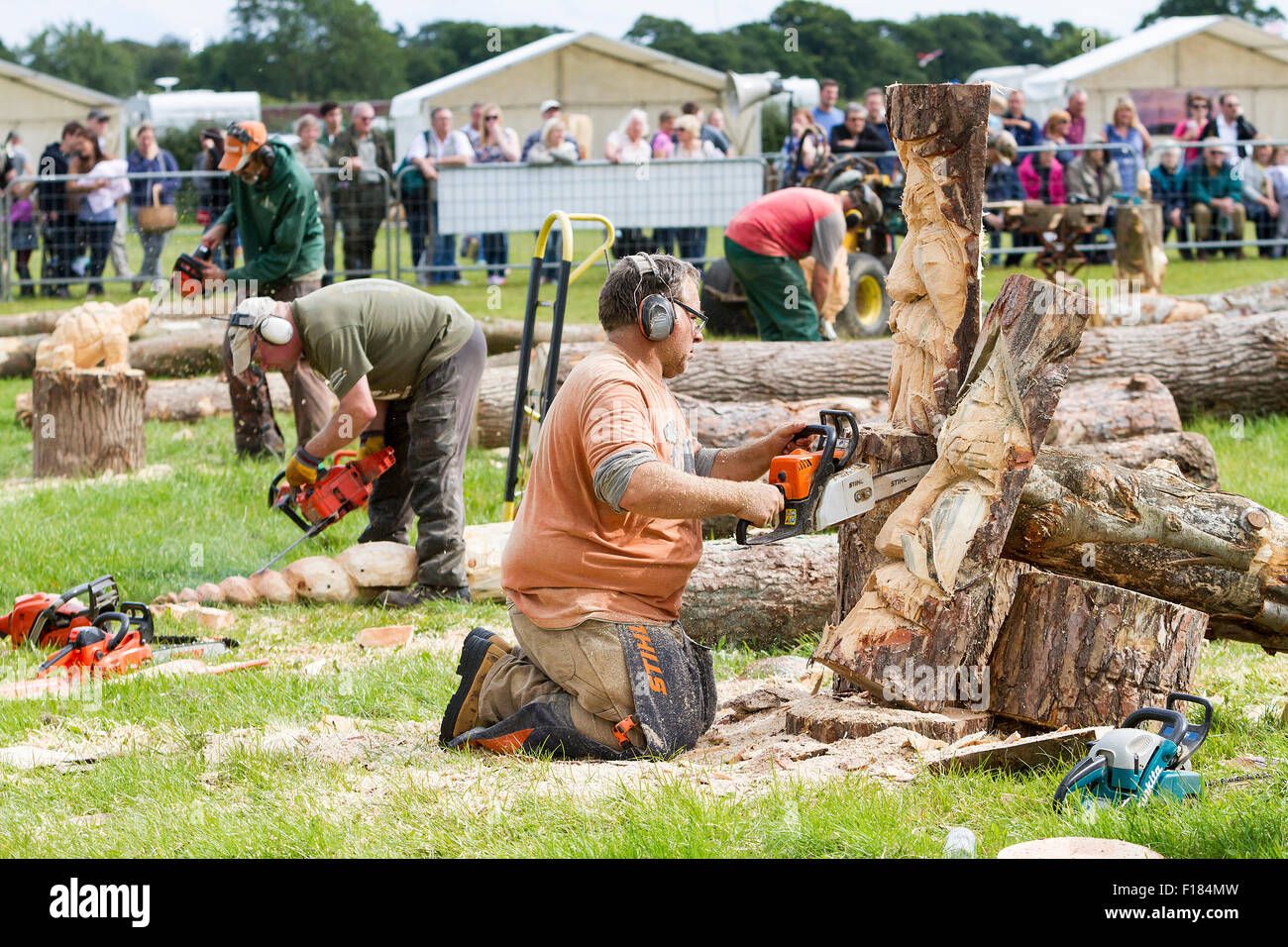 Die 11. englische Chainsaw Carving Auswahlverfahren statt an der Cheshire Spiel und Land zeigen an der Cheshire County Showground Stockfoto