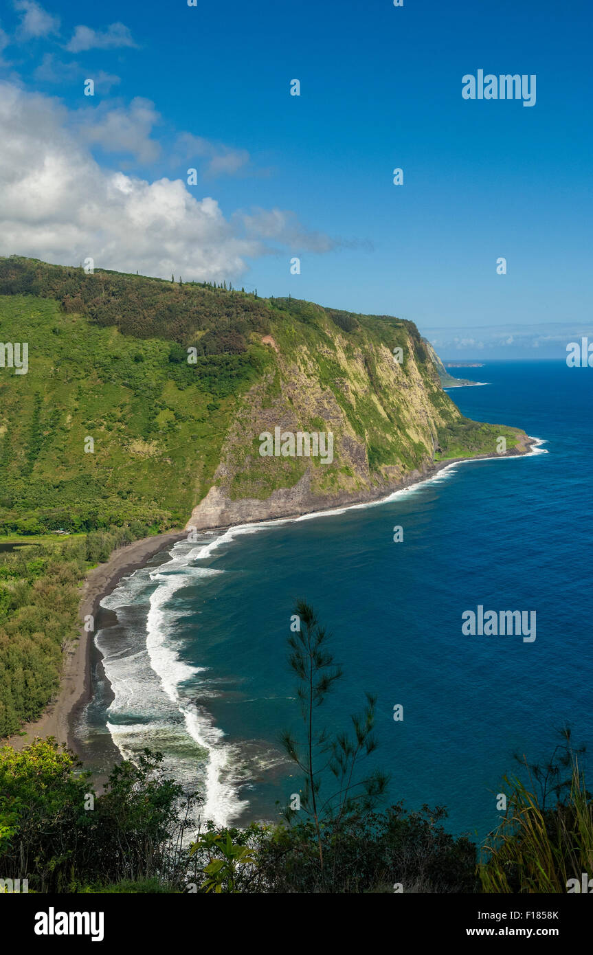 Waipio Valley und Strand und der Hamakua Küste vom Waipio Valley Aussichtspunkt; Insel von Hawaii. Stockfoto