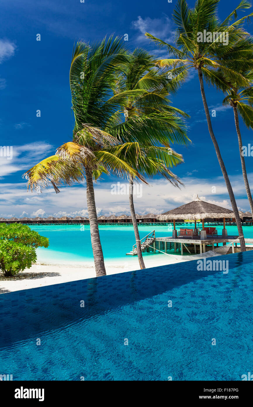 Infinity-Pool mit exotischen Palmen über blauen Lagune auf den Malediven Stockfoto