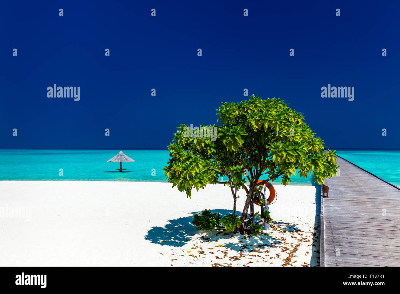 Wunderschönen tropischen Sandstrand mit Wodden Anlegesteg und einzelne Kleinbaum Stockfoto
