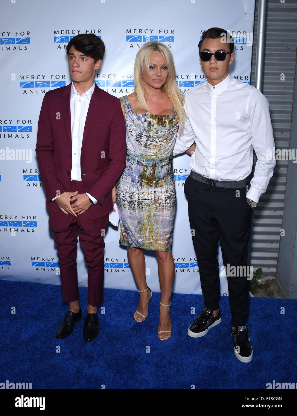 Culver City, Kalifornien, USA. 29. August 2015. Pamela Anderson, Dylan Lee und Brandon Lee kommt um die Gnade für Tiere präsentiert "Heimlichen Helden" Gala im Unici Casa. © Lisa O'Connor/ZUMA Draht/Alamy Live-Nachrichten Stockfoto Culver City, Kalifornien, USA. 29. August 2015. Pamela Anderson, Dylan Lee und Brandon Lee kommt um die Gnade für Tiere präsentiert "Heimlichen Helden" Gala im Unici Casa. © Lisa O'Connor/ZUMA Draht/Alamy Live-Nachrichten Stockfoto