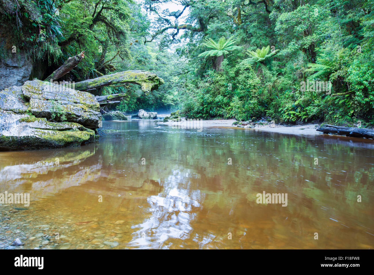 Der Oparara-Fluss in Nord-Westen der Südinsel, Neuseeland Stockfoto