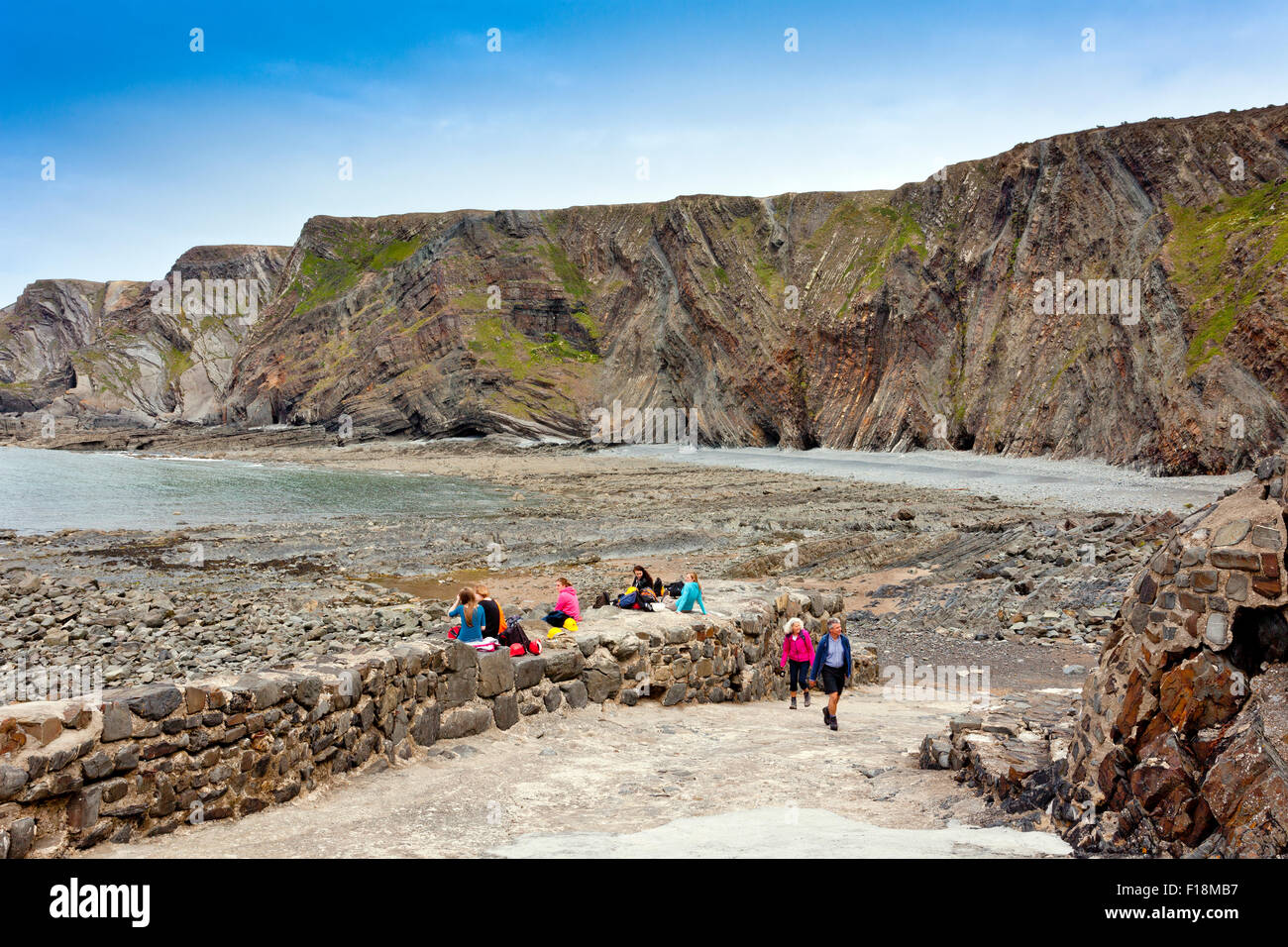 Die dramatische gefaltet und gekippt Gesteinsschichten bei Hartland Quay, North Devon, England, UK Stockfoto