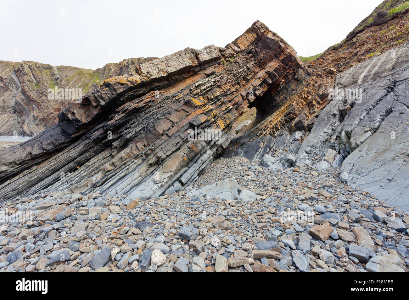 Die dramatische gefaltet und gekippt Gesteinsschichten bei Hartland Quay, North Devon, England, UK Stockfoto
