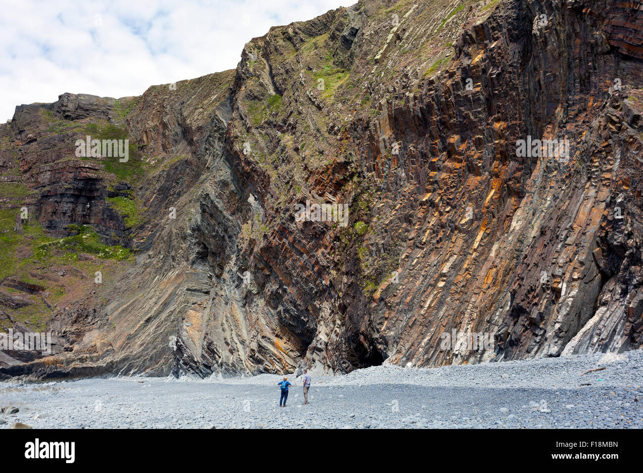 Die dramatische gefaltet und gekippt Gesteinsschichten bei Hartland Quay, North Devon, England, UK Stockfoto