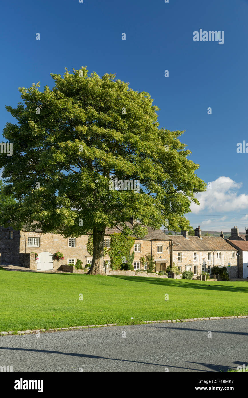 Ferienhäuser auf dem Dorfplatz bei nassen Burton in Wensleydale, Yorkshire, August 2015. Stockfoto