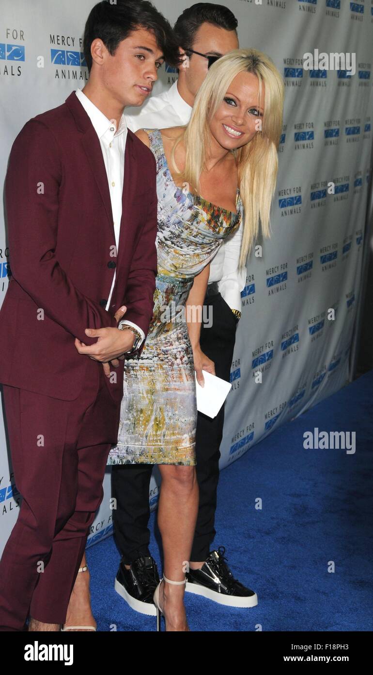 Los Angeles, Kalifornien, USA. 29. August 2015. 29. August 2015 - Los Angeles, Kalifornien, USA - Schauspielerin PAMELA ANDERSON mit Söhnen DYLAN JAGGER LEE und BRANDON THOMAS LEE von der Gnade für Tiere "Versteckt Heros Gala" im Unici Casa Restaurant Los Angeles statt. © Paul Fenton/ZUMA Draht/Alamy Live-Nachrichten Stockfoto Los Angeles, Kalifornien, USA. 29. August 2015. 29. August 2015 - Los Angeles, Kalifornien, USA - Schauspielerin PAMELA ANDERSON mit Söhnen DYLAN JAGGER LEE und BRANDON THOMAS LEE von der Gnade für Tiere "Versteckt Heros Gala" im Unici Casa Restaurant Los Angeles statt. © Paul Fenton/ZUMA Draht/Alamy Live-Nachrichten Stockfoto