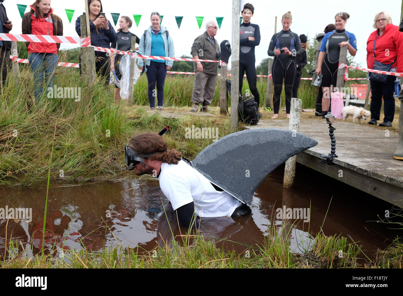 Llanwrtyd Wells, Powys, Wales, UK. 30. August 2015.  Joels Hicks von Leicester war dieser Jahre erste Wettbewerber bei der 30. Bog Schnorcheln Weltmeisterschaft in Wasser statt sumpfige Gräben in Mid Wales gefüllt. Stockfoto