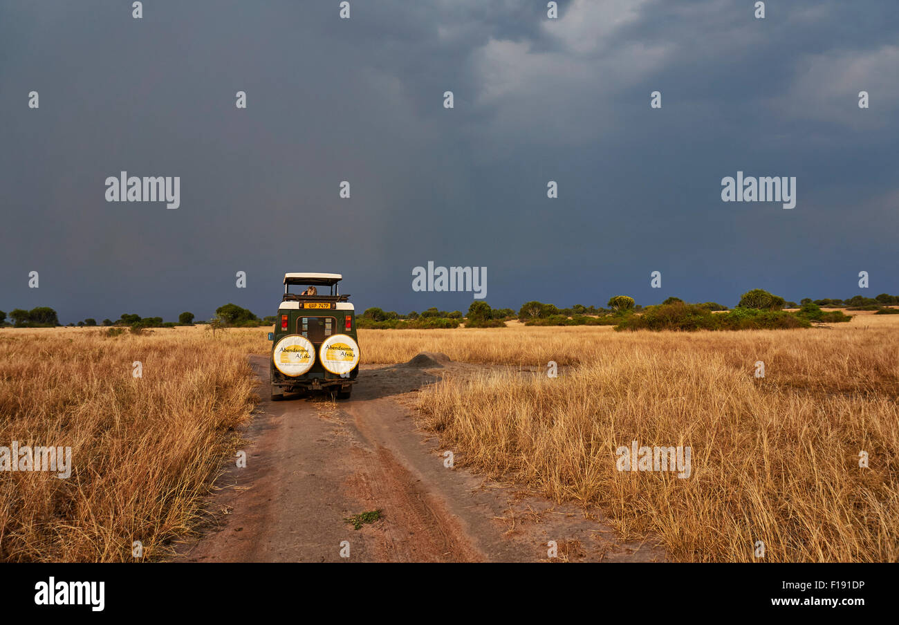 4 x 4 touristische Fahrzeug in der Landschaft in Queen Elizabeth National Park, Uganda, Afrika Stockfoto