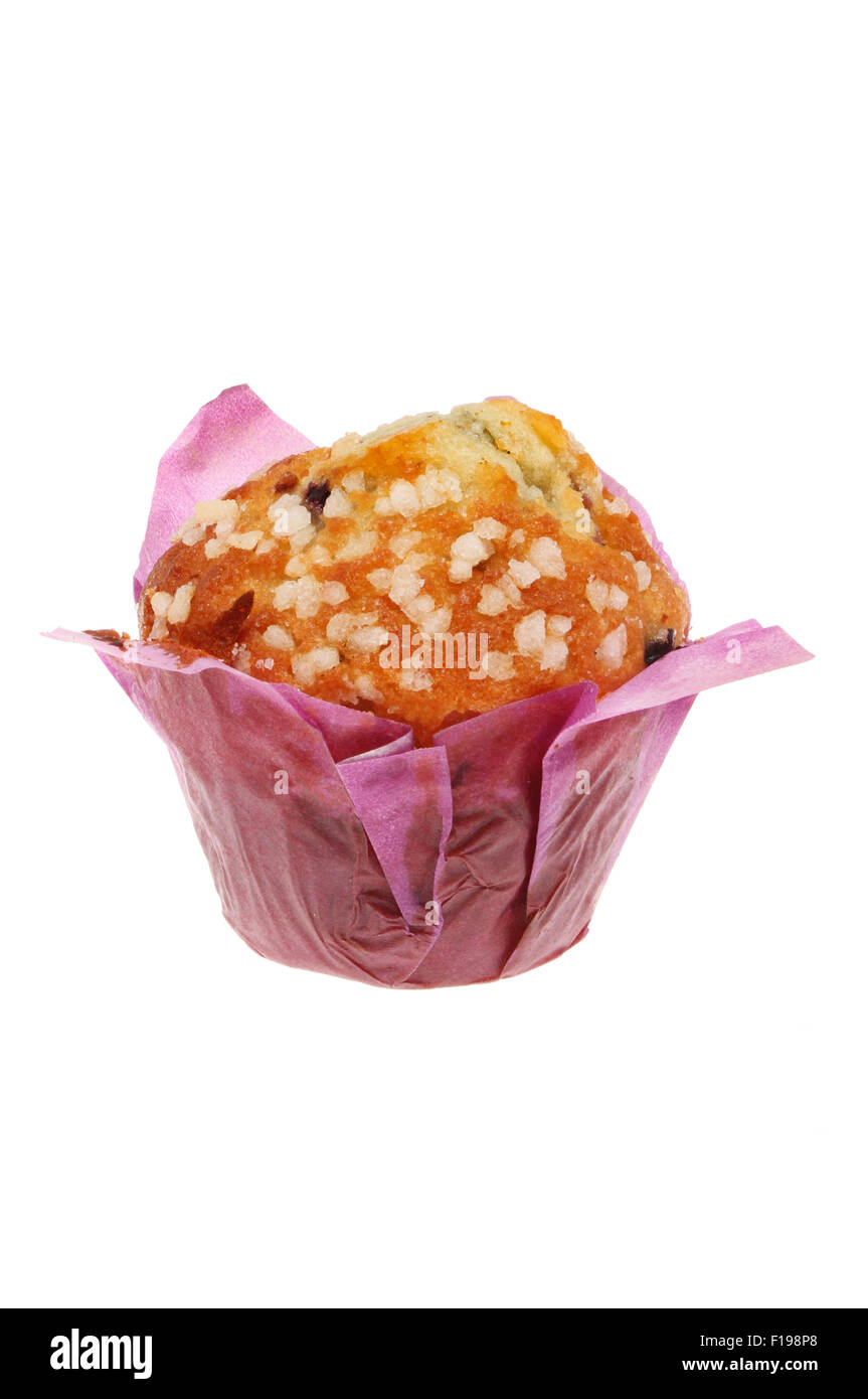 Blueberry Muffin in einer Papierverpackung isoliert gegen weiß Stockfoto