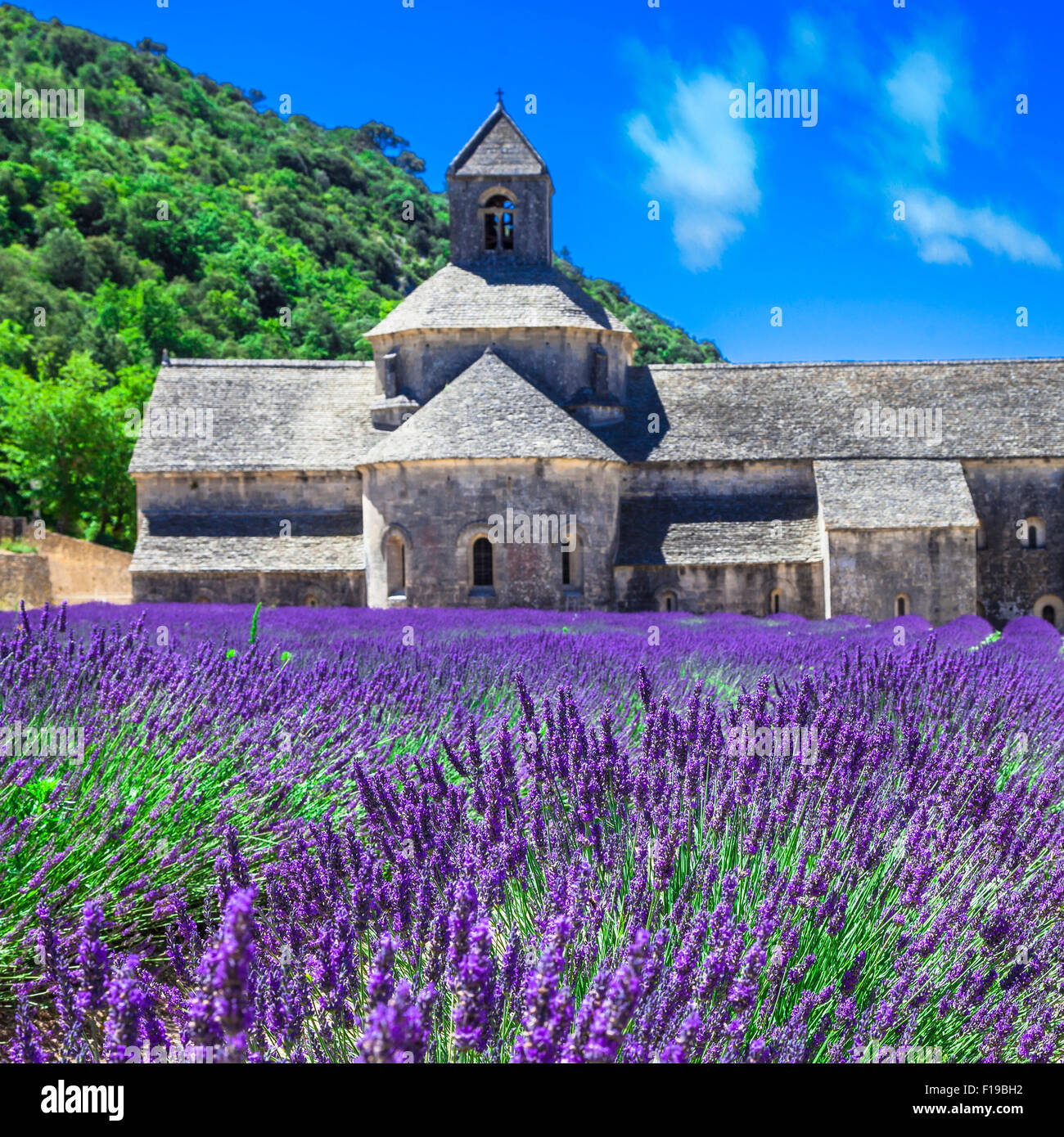 Senanque Abbey mit Bloming Lavendel in der Provence, Frankreich Stockfoto