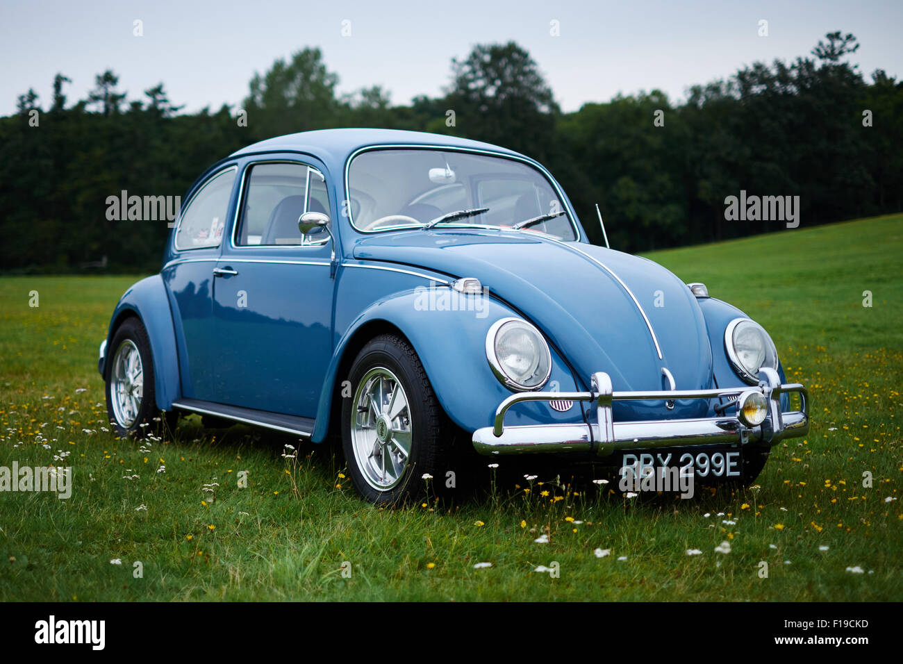 Vintage blau Volkswagen VW Käfer Auto in einem Feld von Gras und Blumen Stockfoto