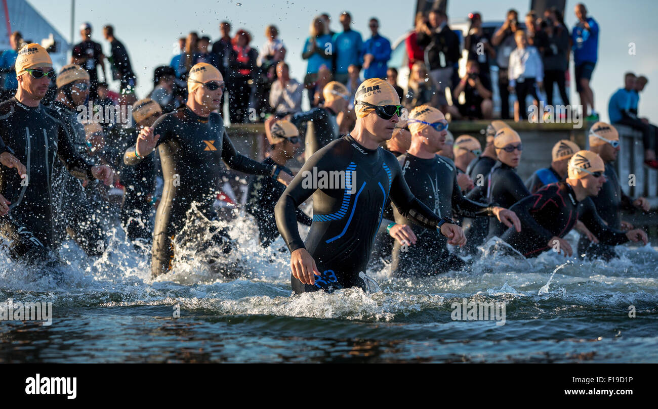 Teilnehmer des Ironman Triathlon startete das Rennen in der Brandung, Amager Strandpark, Kopenhagen, Dänemark Stockfoto