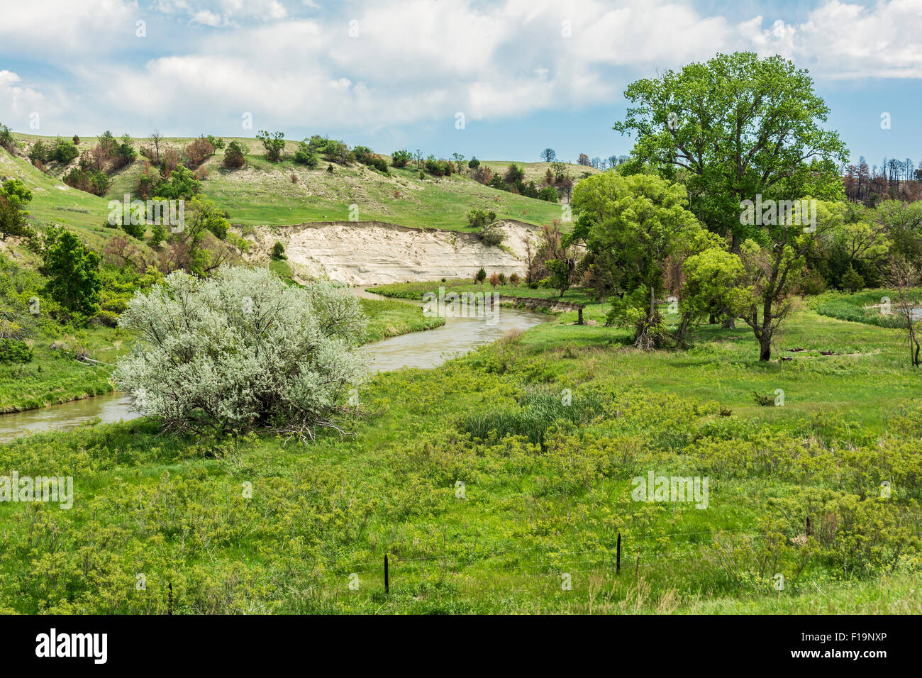 Nebraska, Sandhills, Cherry County Niobrara River südlich von Merriman Stockfoto