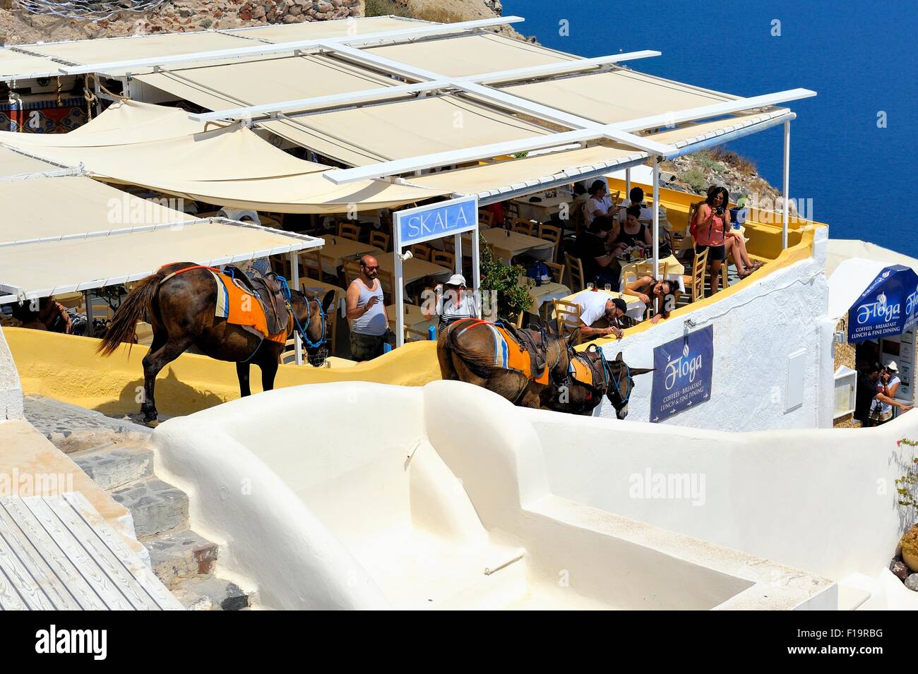 Esel zu Fuß hinunter durch die Skala Restaurant in Oia Santorini Griechenland Stockfoto