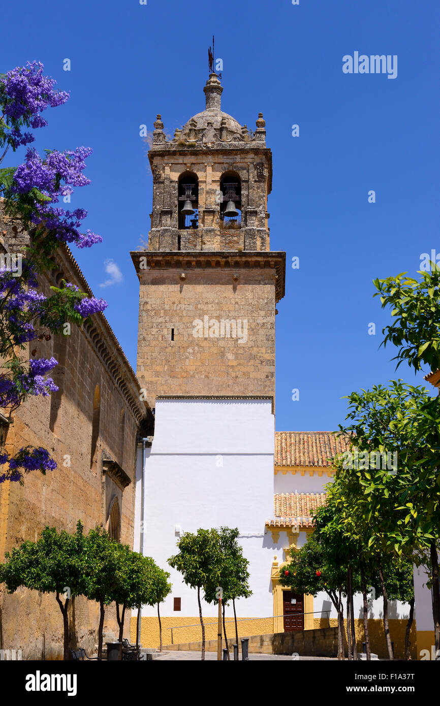Glockenturm der Kirche von Santa Marina in Córdoba, Andalusien, Spanien Stockfoto