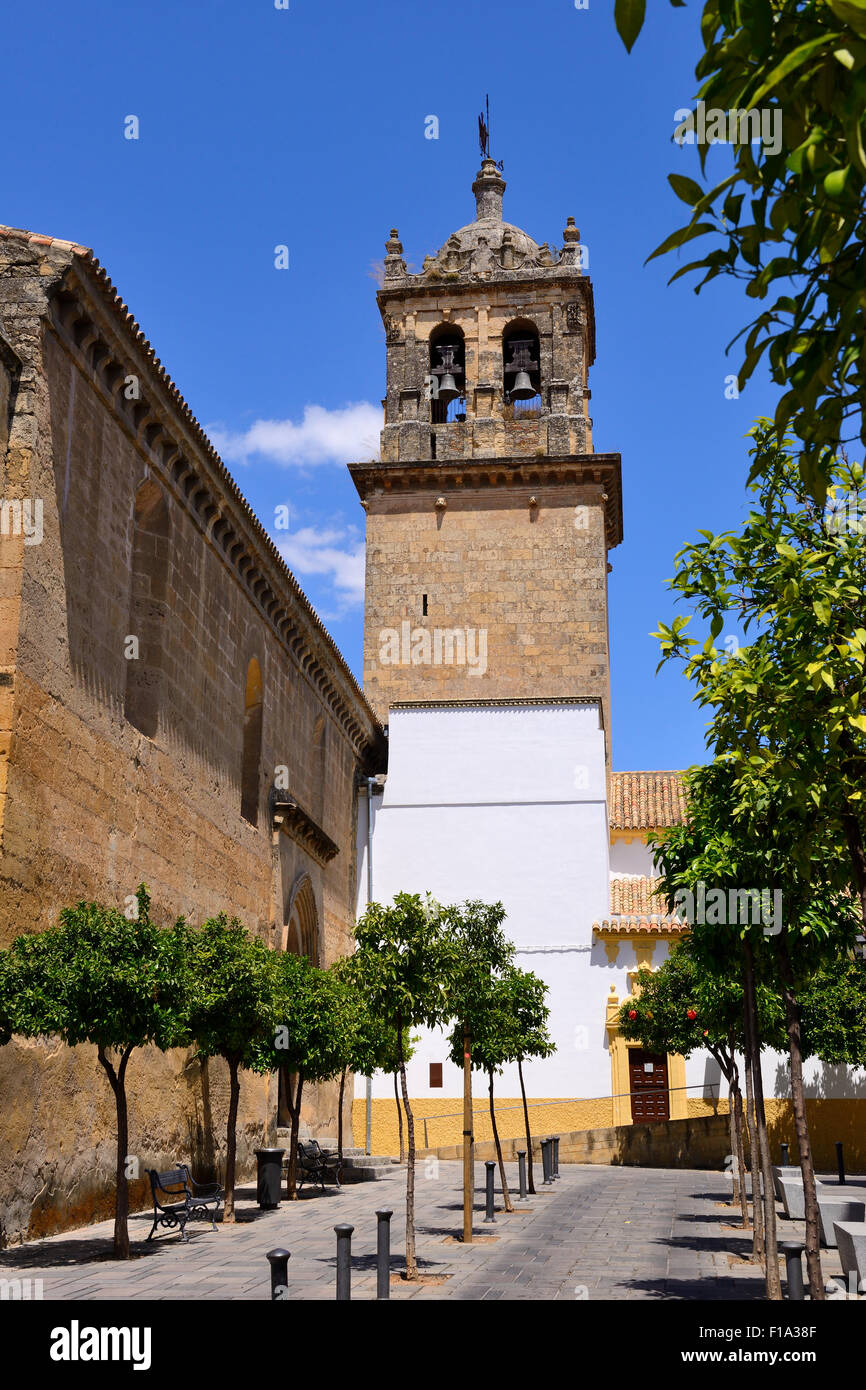 Glockenturm der Kirche von Santa Marina in Córdoba, Andalusien, Spanien Stockfoto
