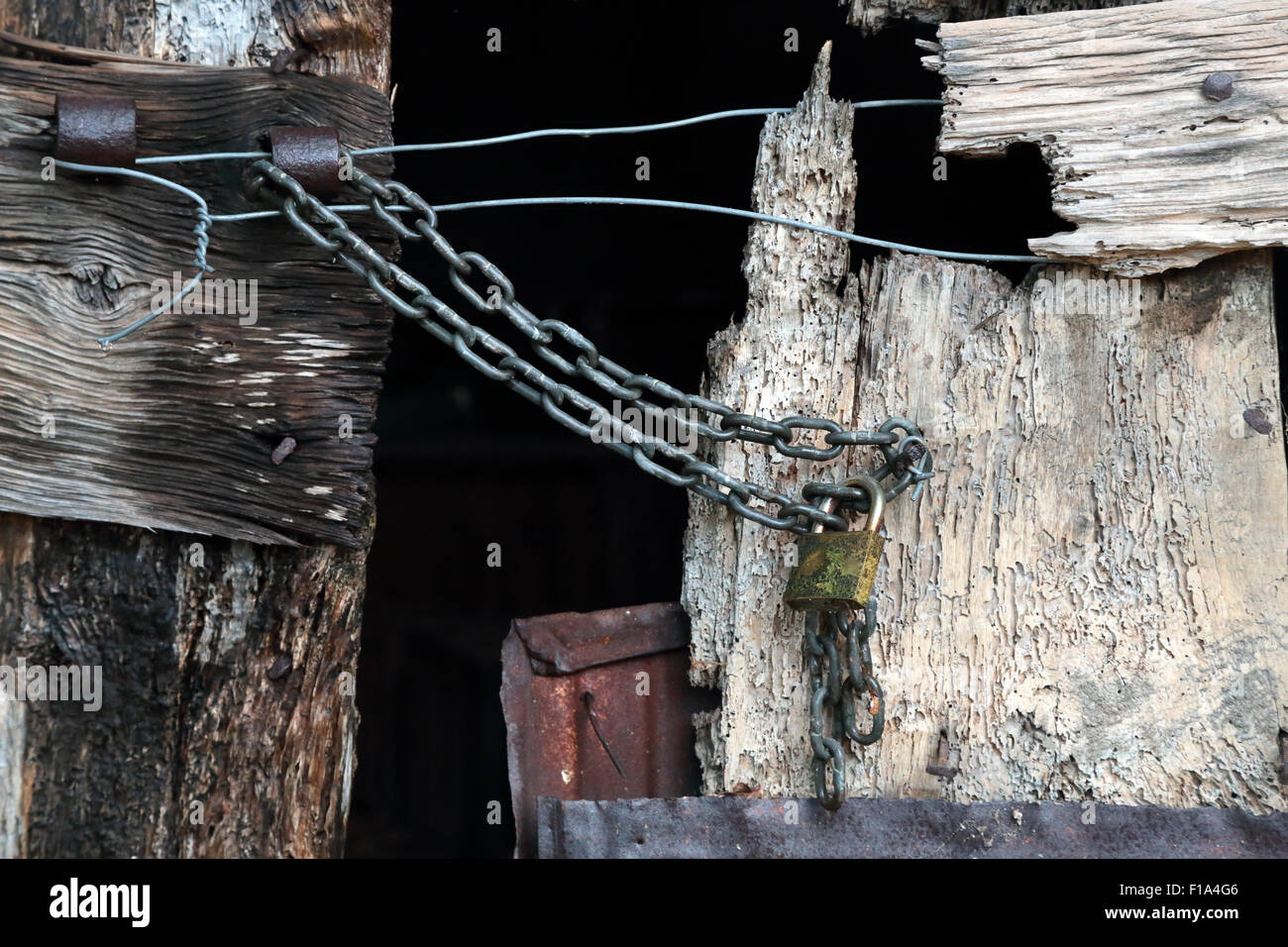 Eine alte und abgenutzte Holztür teilweise geschlossen und mit einer Kette und einem Vorhängeschloss verriegelt Stockfoto